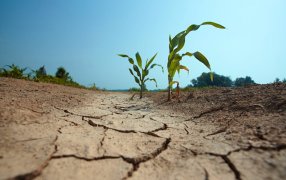 Preocupación en el CIAFBA por la falta de conservación y el cuidado del recurso suelo