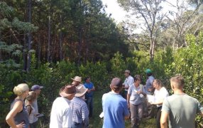 Misiones: Jornada sobre suelo, árboles y agroecología en Municipio de Los Helechos