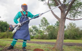 Posadas: Arranca el operativo integral de podas, el objetivo es optimizar el servicio, garantizar la seguridad y concientizar sobre la importancia del cuidado del arbolado urbano