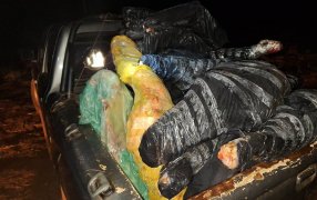 Una camioneta cargaba con más de una tonelada de carne sin cadena de frío