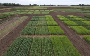 ALZ-Agro en Expo Cereales 2024: Innovación en soluciones biológicas para potenciar cultivos de trigo y cebada