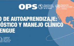 La Organización Panamericana de la Salud brinda a través del campus virtual el curso del Diagnóstico y Manejo Clínico del Dengue para los trabajadores de la salud de Misiones