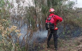 En la última semana, Bomberos de la Policía de la provincia de Misiones combatieron 46 focos de incendios