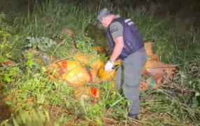 Patrulla de Gendarmería Nacional detectó 1.221 kilos de marihuana, hallaron huellas que conducían al acopio de 37 bultos entre la vegetación