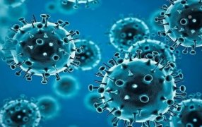 Coronavirus (COVID-19) en Argentina: Subieron 50% los contagios en una semana y crecieron levemente las muertes