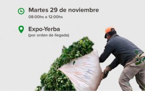 Apóstoles: Entrega de módulos alimentarios para tareferos