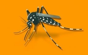 Misiones: Falleció una mujer de 67 años por Dengue en la ciudad de Eldorado, según informa el Ministerio de Salud Pública de la Provincia en un comunicado