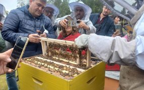 Apicultura: Un sector productivo con gran potencial en Misiones