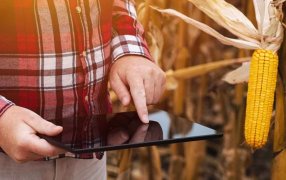 Fusión Fintech: Dos gigantes del mundo bancario se unen para potenciar un ecosistema digital del agro