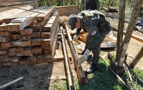 Tirantes de madera apilados en el monte tenían millonaria carga de marihuana oculta dentro de ellos