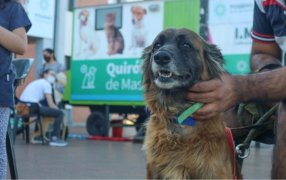 Posadas: El IMuSA continúa brindando atenciones veterinarias esenciales, estos operativos buscan mejorar la salud de los animales y promover la tenencia responsable