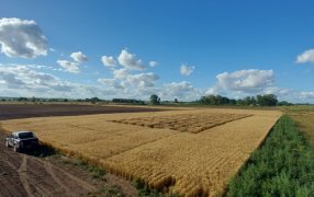 La propuesta inédita de un campo experimental privado que crece en Argentina