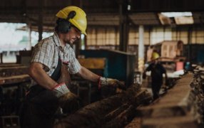 Misiones: Forestales celebran el impulso del Gobierno Provincial a las PyMEs, tras lanzamiento de nuevas líneas de créditos