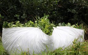 El INYM pidió a la Secretaría de Bioeconomía de la Nación definiciones respecto a los precios de la materia prima