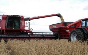 Una cosecha gruesa con rentabilidad muy “flaca”: El duro diagnóstico de la Sociedad Rural