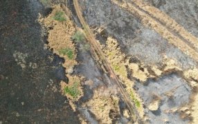 A pesar de las lluvias, la provincia de Misiones continúa en alerta roja por incendios