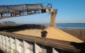 Octubre registró la mayor liquidación de exportaciones agrícolas desde 2002