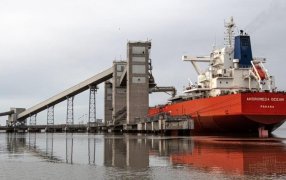 En Octubre, las exportaciones del complejo agroindustrial retrocedieron 43,8%, entre Septiembre y Octubre dejaron de entrar 2.026 millones de dólares