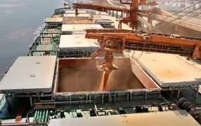 Habilitan las inscripciones para exportar cebada, trigo, soja, sorgo y maíz a China