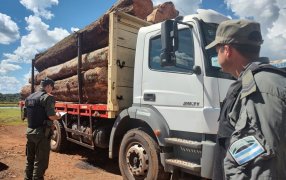 Misiones: Gendarmería Nacional incautó madera nativa sin la autorización correspondiente