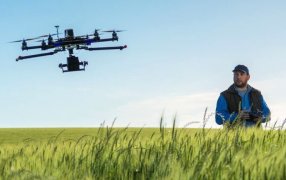 Expocereales 2024: Todo lo que hay que saber desde la siembra hasta la comercialización