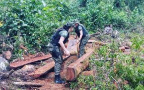 Misiones: Operativos preventivos en zonas rurales, la Policía logró la disminución de los delitos más comunes, reducción en los índices de sustracción de yerba mate en un 80%, el abigeato en un 65% y el apeo en un 50%