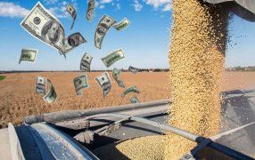 «Dólar Exportación», el nuevo índice para los negocios agropecuarios que ya genera adeptos
