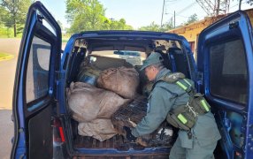 Misiones: Gendarmería Nacional detuvo vehículo cargado con marihuana