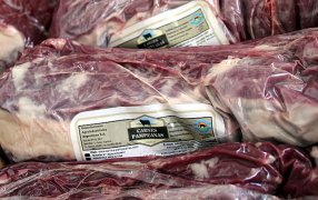 Exportaciones de carne bovina: Proyectan que 2023 cerrará con el peor ingreso de divisas de los últimos 4 años