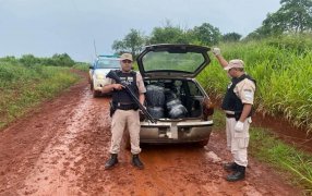 Misiones: Prefectura Naval Argentina secuestró más de 60 kilos de marihuana