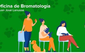 Apóstoles: El Municipio realizará castraciones gratuitas de mascotas domésticas, específicamente perros y gatos