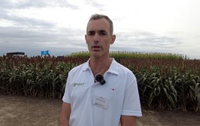 RAGT Semillas lanza su línea de trigo y avanza en cebada y arvejas