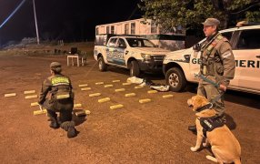 Gendarmería Nacional llevó a cabo dos procedimientos: Efectivos del Escuadrón 50 “Posadas” secuestraron marihuana, electrónicos y moneda extranjera