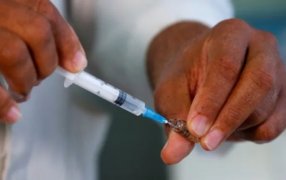 Misiones es la primera provincia del NEA en aplicar la vacunación gratuita contra el Dengue