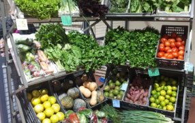 El Gobierno Provincial continúa sosteniendo a la Misiones productiva y apuesta a su crecimiento con políticas eficientes