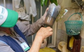 Posadas: Continúan los operativos contra el Dengue en el Municipio, intensifican las acciones preventivas para combatir al mosquito Aedes Aegypti con operativos estratégicos en distintos barrios