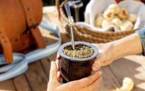 Las exportaciones de yerba mate marcaron un récord histórico en 2024