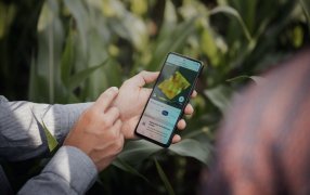 La agricultura regenerativa y su impacto positivo en el ambiente