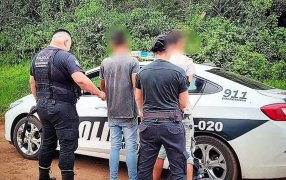 Misiones: Patrullas rurales evitaron que se robaran raídos de yerba mate en una chacra