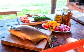 La piscicultura crece en la provincia de Misiones, proyección de una producción en expansión