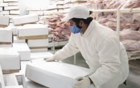 Nuevo mercado: Argentina comenzará a exportar carnes ovinas y caprinas a Marruecos