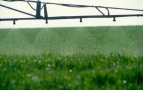 De la receta al lote, la experiencia para aplicar con éxito y responsabilidad