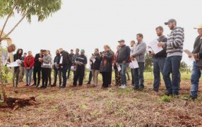 Presentaron avances de ensayos en la Jornada de Mandioca en el localidad misionera de Montecarlo