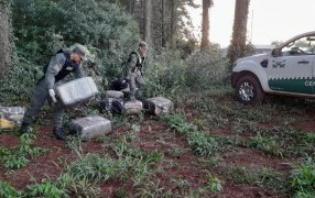 Fueron sorprendidos arrojando bultos con marihuana a un pinal, dos personas que se trasladaban sobre una camioneta se dieron a la fuga ante la presencia de Gendarmería Nacional
