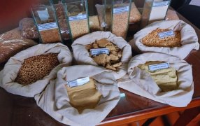 Lanzan un clúster para promover el desarrollo y exportación de texturizados de soja