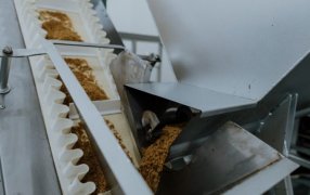 Mojón Grande: Impulsan la producción de barritas de cereal elaboradas con azúcar mascabo misionero