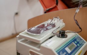 Crecen las donaciones y tratamientos en el Banco de Sangre, Tejidos y Biológicos de Misiones