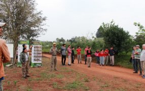 Poda de formación y cosecha con estudiantes y productores en el Municipio misionero de Guaraní