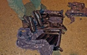 Gendarmería Nacional secuestró casi 18 kilos de marihuana, el estupefaciente se encontraba oculto dentro de una valija en un transporte de larga distancia