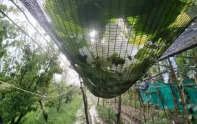 Este jueves: Alerta por tormentas fuertes y granizo en cuatro provincias